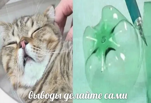 Выводы делайте сами