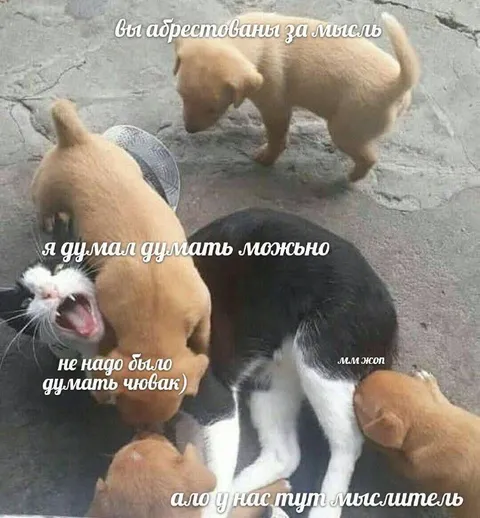 Арест за мысль