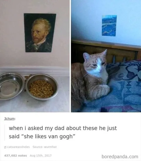 Cat Likes Van Gogh
