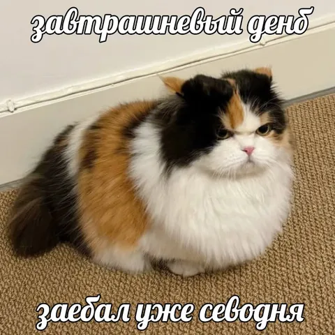 Завтрашний день уже заебал