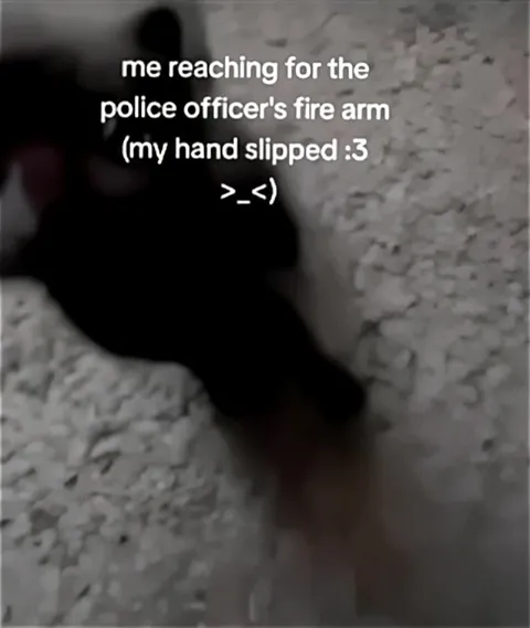 Cat Reaching for the Firearm