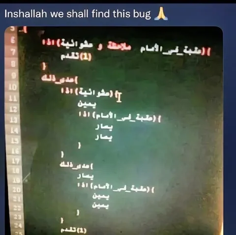 Inshallah Find This Bug
