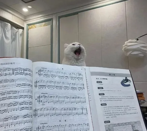 Кот поёт за пианино