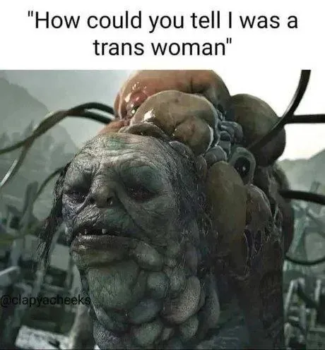 How Could You Tell I Was Trans