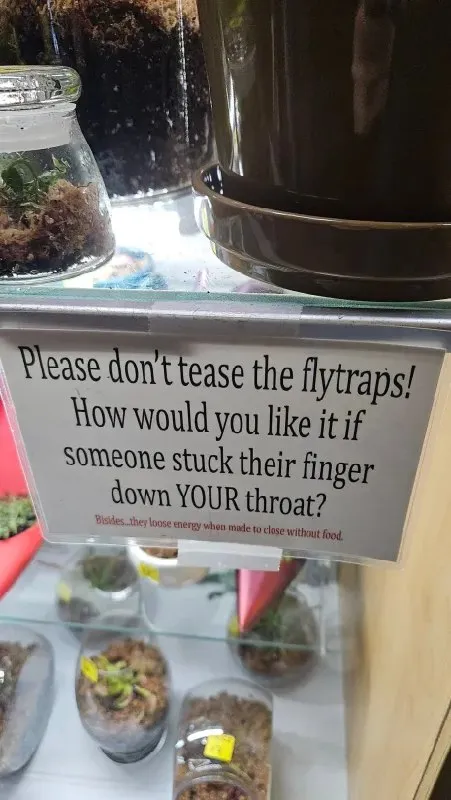 Please Don’t Tease the Flytraps