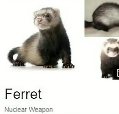 Ferret Nuclear Weapon