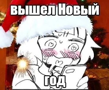 Вышел Новый год