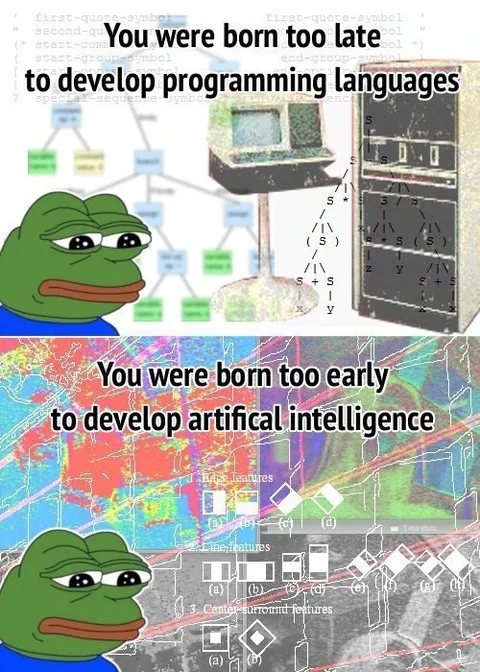 Born Too Late for Programming