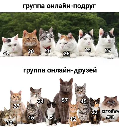 Группа онлайн-подруг и друзей