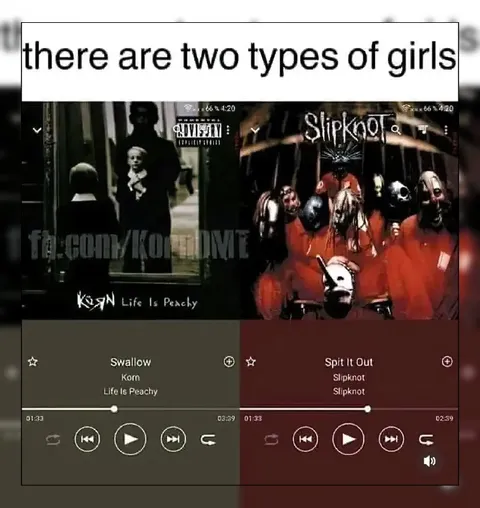 Two Types of Girls: Korn or Slipknot