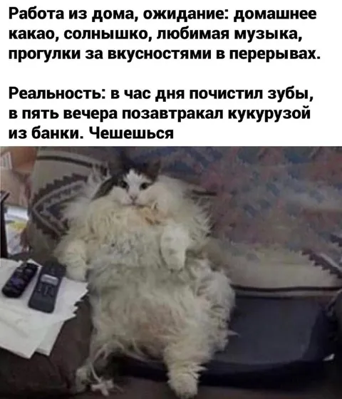 Реальность работы из дома