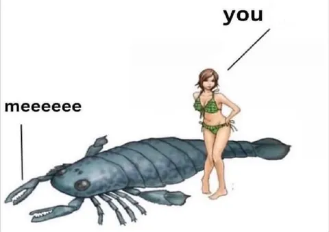 You and Me Creature Meme