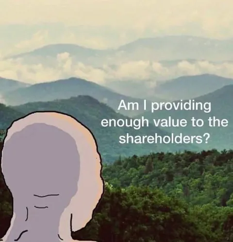 Wojak Questions Shareholder Value