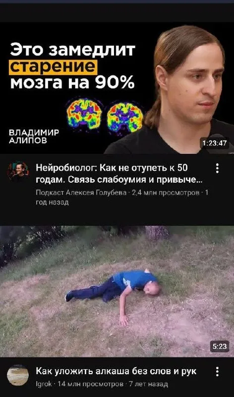 Как не отупеть к 50 годам