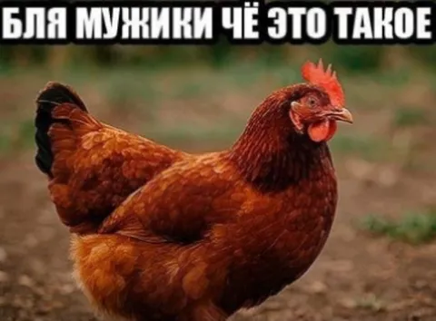 Бля, мужики, чё это такое