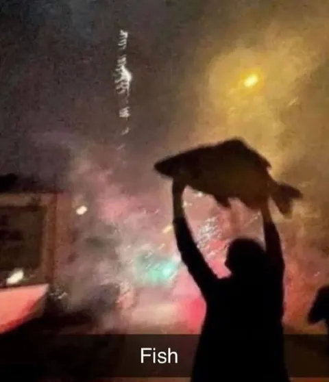 Person Holding Fish at Concert