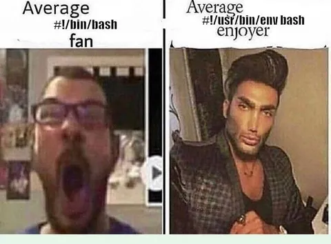 Bash Fan vs Bash Enjoyer