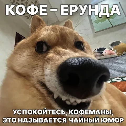 Чайный юмор про кофеманов