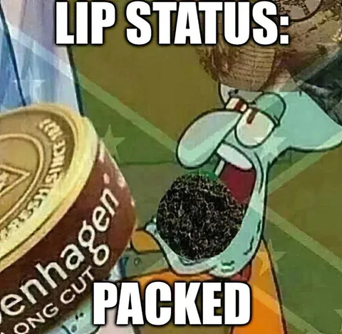 Lip Status: Packed