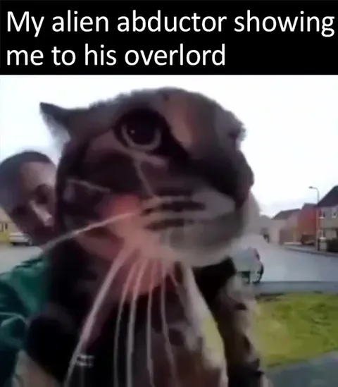 Alien Abductor Shows Me the Overlord