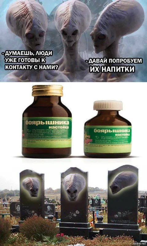 Инопланетяне пробуют боярышник