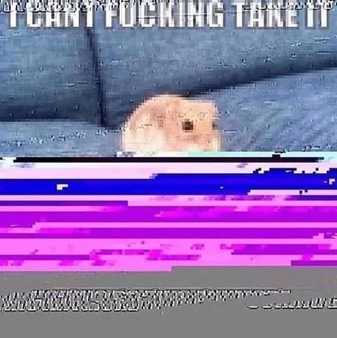 I Can't Fucking Take It