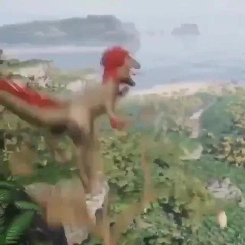 Chief Must Choose Now