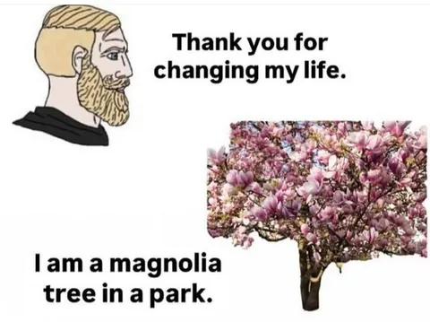 Thank You for Changing My Life