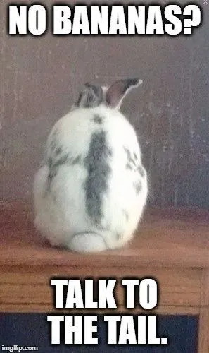 No Bananas? Talk to the Tail