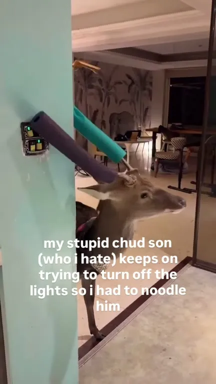 Deer Gets Noodled Away From Lights