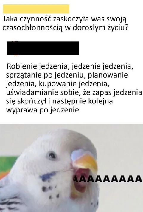 Życie kręci się wokół jedzenia