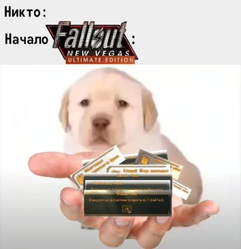 Когда начал Fallout: New Vegas