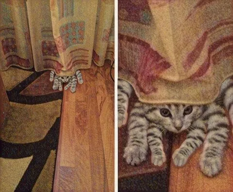 Кот, выглядывающий из-под шторы