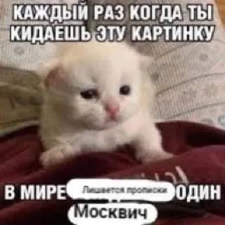 Каждый раз когда ты кидаешь эту картинку