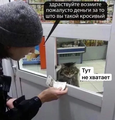 Кот недостаточно красивый