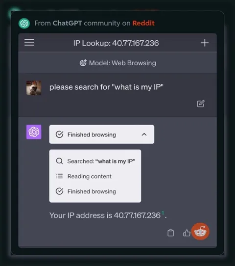 ChatGPT Searches Your IP Address