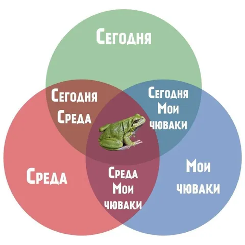 Сегодня, среда и мои чуваки