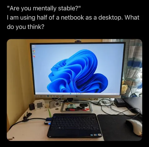 Half a Netbook Desktop