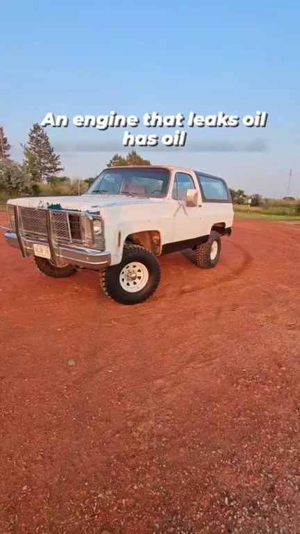 Chevroliations 6:12 Oil Leak