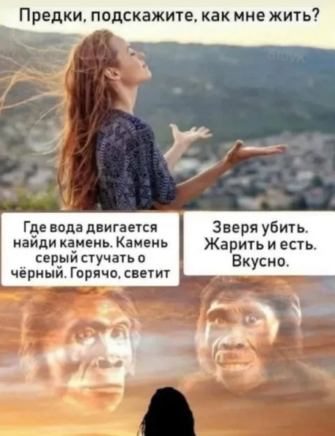 Предки подсказывают, как жить