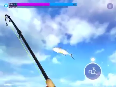巨大ザメを釣り上げる
