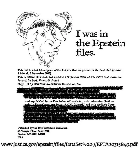 I Was in the Epstein Files