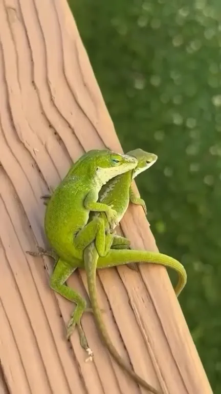Я и мой бро на отдыхе