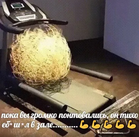 Тихо ебашил в зале