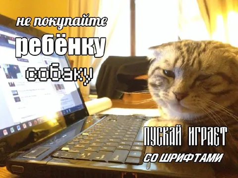 Ребёнку не собаку, а шрифты