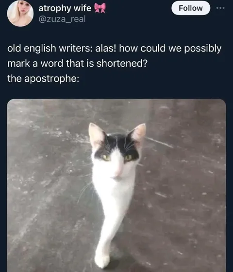 The Apostrophe Cat