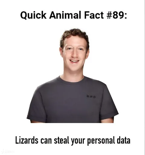 Lizards Steal Your Personal Data
