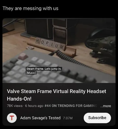 They Are Messing With Us