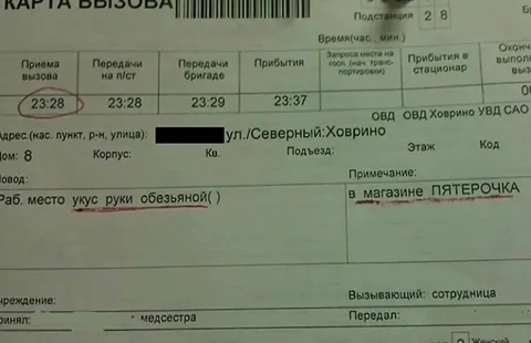 Укус обезьяной в Пятёрочке