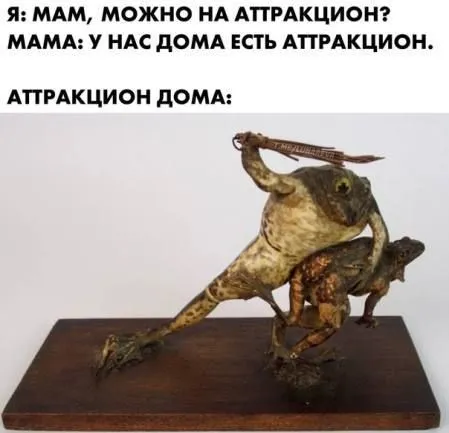 Аттракцион дома